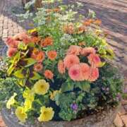 ヒメ日記 2025/06/20 23:29 投稿 あげは One More奥様　立川店