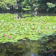 ヒメ日記 2025/07/12 10:49 投稿 あげは One More奥様　立川店