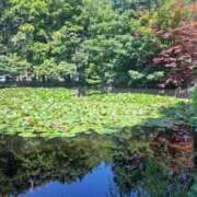 ヒメ日記 2025/07/20 10:56 投稿 あげは One More奥様　立川店