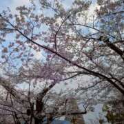 ヒメ日記 2026/04/01 22:39 投稿 あげは One More奥様　立川店