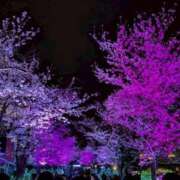 ヒメ日記 2026/03/28 22:35 投稿 あげは One More奥様　八王子店