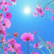 長澤ありす 今晩は🌙 川崎人妻城