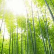 長澤ありす こんにちは。 川崎人妻城