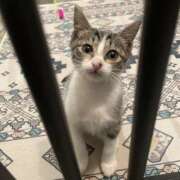 ヒメ日記 2025/10/03 19:18 投稿 西元　じゅり スッキリ商事