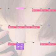 ヒメ日記 2024/12/10 18:27 投稿 杉浦ひな コウテイ