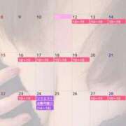 ヒメ日記 2024/12/11 17:05 投稿 杉浦ひな コウテイ