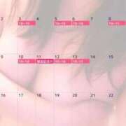 ヒメ日記 2025/01/29 14:05 投稿 杉浦ひな コウテイ