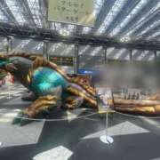 ヒメ日記 2025/03/22 09:05 投稿 杉浦ひな コウテイ