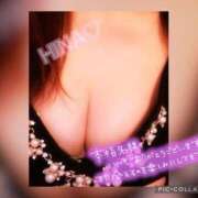 ヒメ日記 2025/06/05 13:45 投稿 杉浦ひな コウテイ