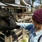 ヒメ日記 2024/12/24 17:22 投稿 あきな 人妻㊙︎倶楽部