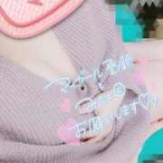 ヒメ日記 2026/09/19 18:40 投稿 あきな 人妻㊙︎倶楽部