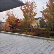 ヒメ日記 2025/11/25 16:32 投稿 なぎ ていくぷらいど.学園