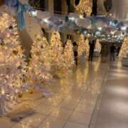 ヒメ日記 2025/12/06 09:50 投稿 なぎ ていくぷらいど.学園