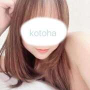 ヒメ日記 2026/02/08 02:50 投稿 ことは｜妹系萌えカワ美少女 博多プラチナム