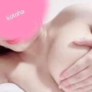 ヒメ日記 2026/02/18 14:33 投稿 ことは｜妹系萌えカワ美少女 博多プラチナム