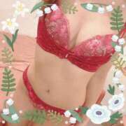 ヒメ日記 2024/12/21 15:53 投稿 メイ ルパン