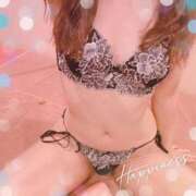 ヒメ日記 2025/06/21 16:12 投稿 メイ ルパン