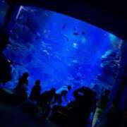 ヒメ日記 2025/11/14 22:37 投稿 メイ ルパン