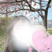 ヒメ日記 2025/03/19 09:46 投稿 葵羽海 皇帝別館（こうていべっかん）