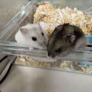 ヒメ日記 2025/05/19 13:56 投稿 葵羽海 皇帝別館（こうていべっかん）