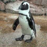 ヒメ日記 2025/05/24 17:26 投稿 葵羽海 皇帝別館（こうていべっかん）