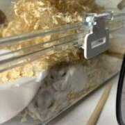 ヒメ日記 2025/07/25 08:46 投稿 葵羽海 皇帝別館（こうていべっかん）