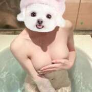 ヒメ日記 2026/04/04 22:19 投稿 葵羽海 皇帝別館（こうていべっかん）