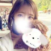 ヒメ日記 2026/04/20 07:29 投稿 葵羽海 皇帝別館（こうていべっかん）