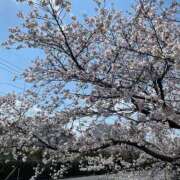 ヒメ日記 2025/04/07 17:07 投稿 堀北　はるか ナディア名古屋店