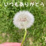 ヒメ日記 2025/04/20 21:19 投稿 斎藤はるな 五反田発 痴漢電車or全裸入室