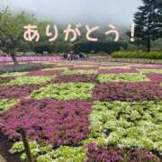 ヒメ日記 2025/05/15 21:41 投稿 斎藤はるな 五反田発 痴漢電車or全裸入室