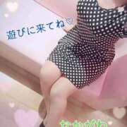 ヒメ日記 2025/11/10 11:15 投稿 仲川（なかがわ） 熟女の風俗最終章 大宮店