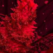 ヒメ日記 2024/12/06 00:49 投稿 えりな 沖縄素人図鑑