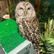 ヒメ日記 2025/08/02 17:18 投稿 えりな 沖縄素人図鑑