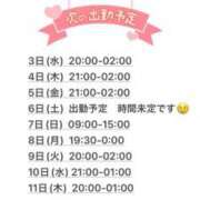 ヒメ日記 2025/11/27 21:24 投稿 えりな 沖縄素人図鑑
