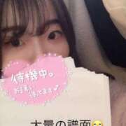 ヒメ日記 2024/12/24 16:26 投稿 なの One More 奥様　池袋店