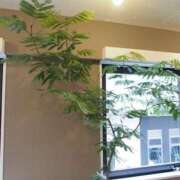 ヒメ日記 2024/12/13 10:29 投稿 まや 水戸人妻花壇