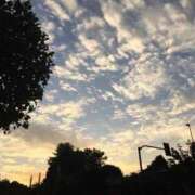 ヒメ日記 2024/12/17 20:33 投稿 まや 水戸人妻花壇