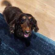 ヒメ日記 2025/05/18 17:32 投稿 まや 水戸人妻花壇