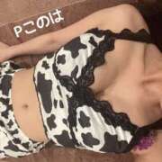 ヒメ日記 2024/12/14 11:36 投稿 コノハ PLATINUM