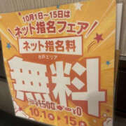 るる お知らせ PLATINA