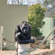 ヒメ日記 2025/01/03 10:06 投稿 やすは 熟女家 梅田店