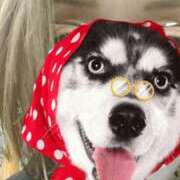 ヒメ日記 2025/02/26 09:47 投稿 やすは 熟女家 梅田店