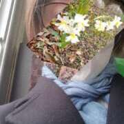 ヒメ日記 2025/03/17 10:04 投稿 やすは 熟女家 梅田店