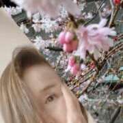 ヒメ日記 2025/03/19 10:00 投稿 やすは 熟女家 梅田店