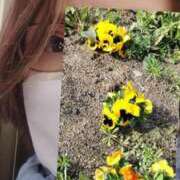 ヒメ日記 2025/03/20 09:57 投稿 やすは 熟女家 梅田店