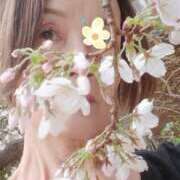 ヒメ日記 2025/03/28 09:57 投稿 やすは 熟女家 梅田店