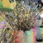 ヒメ日記 2025/04/03 10:01 投稿 やすは 熟女家 梅田店