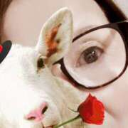 ヒメ日記 2025/10/08 12:07 投稿 やすは 熟女家 梅田店