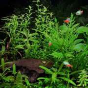 ヒメ日記 2025/02/27 23:56 投稿 あんり 千葉人妻セレブリティ（ユメオト）